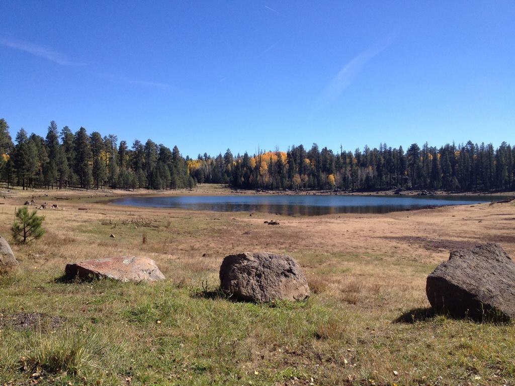 Mountain Haven Inn Pinetop-Lakeside Exterior foto