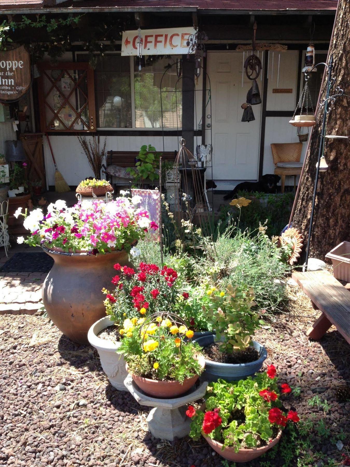 Mountain Haven Inn Pinetop-Lakeside Exterior foto